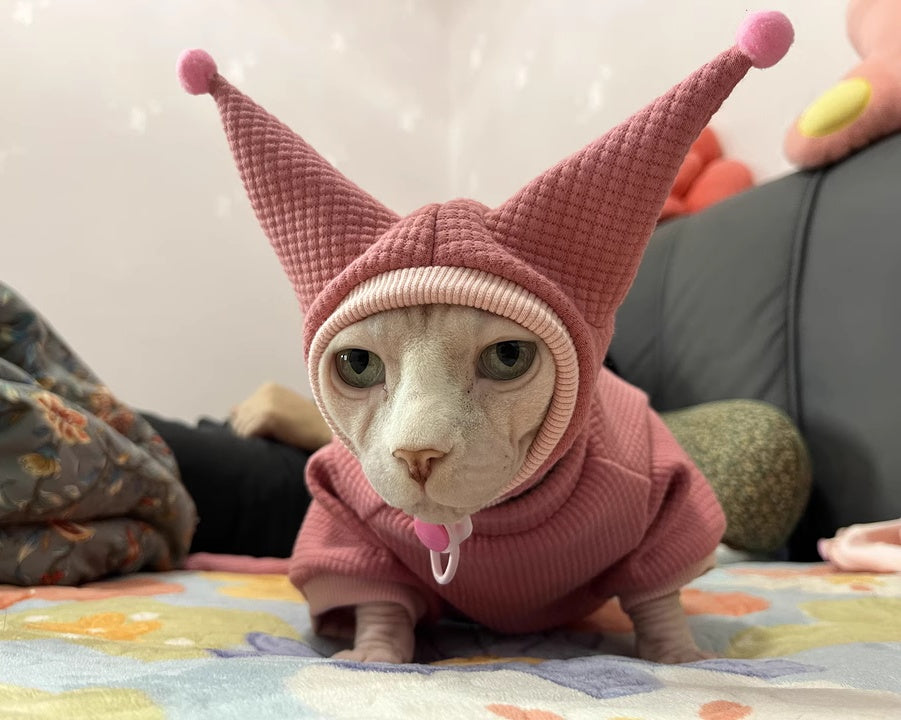 Sphynx Hairless Cats Clothes, Warm Kitten Sweatshirt in Winter,  Bambino Devon Rex Sphynx Cat Jumper