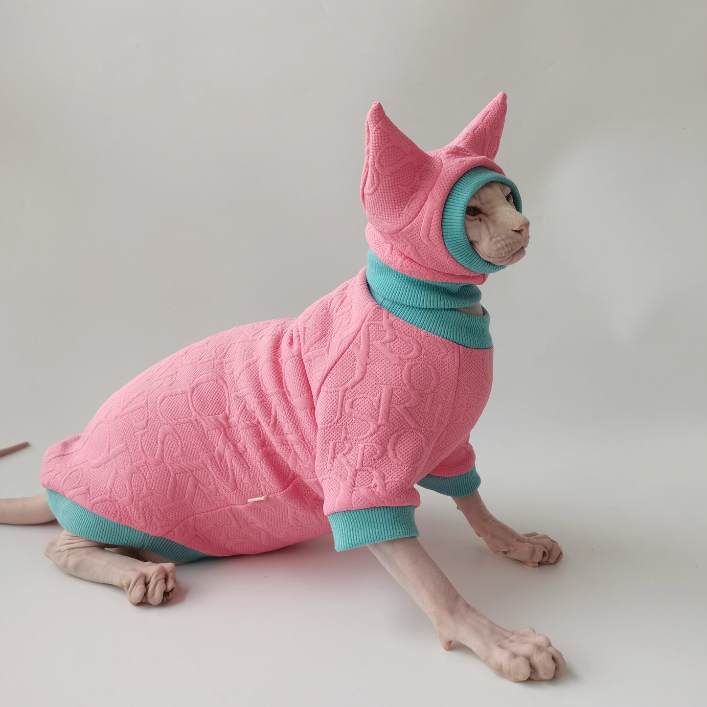 Sphynx Hairless Cats Clothes, Warm Kitten Sweatshirt in Winter,  Bambino Devon Rex Sphynx Cat Jumper