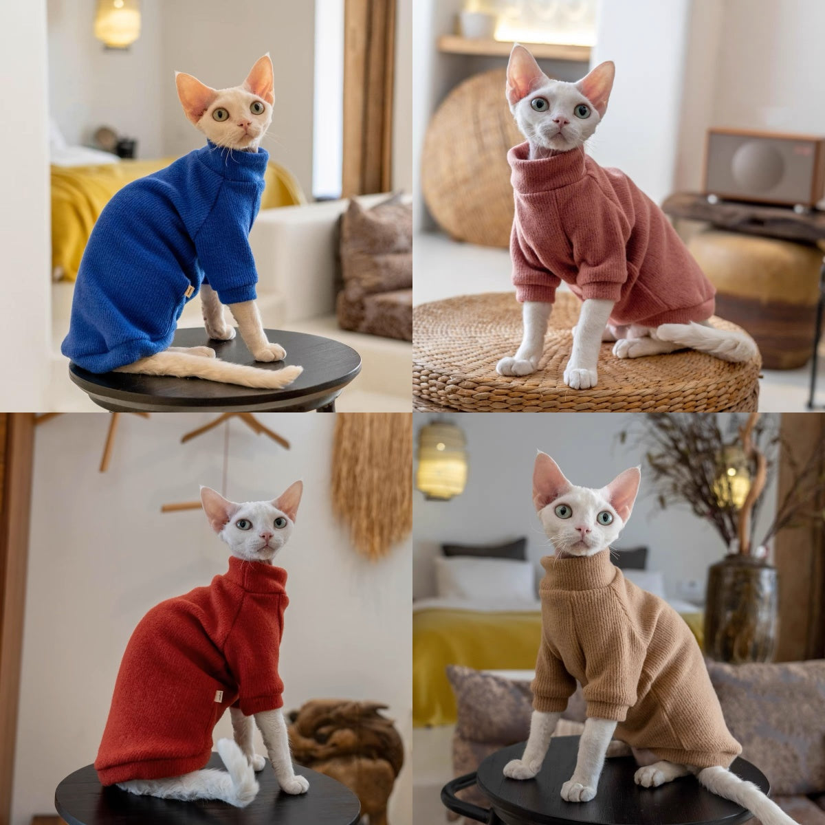 5 Colors Sphynx Hairless Cats Sweater, Winter Warm Jumper for Bambino Devon Rex Sphynx Cat