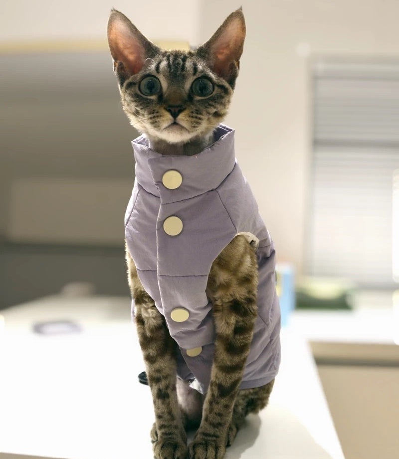 Sphynx Hairless Cats Coat, Winter Warm Kitten Button Jacket for Bambino Devon Rex Sphynx Cat