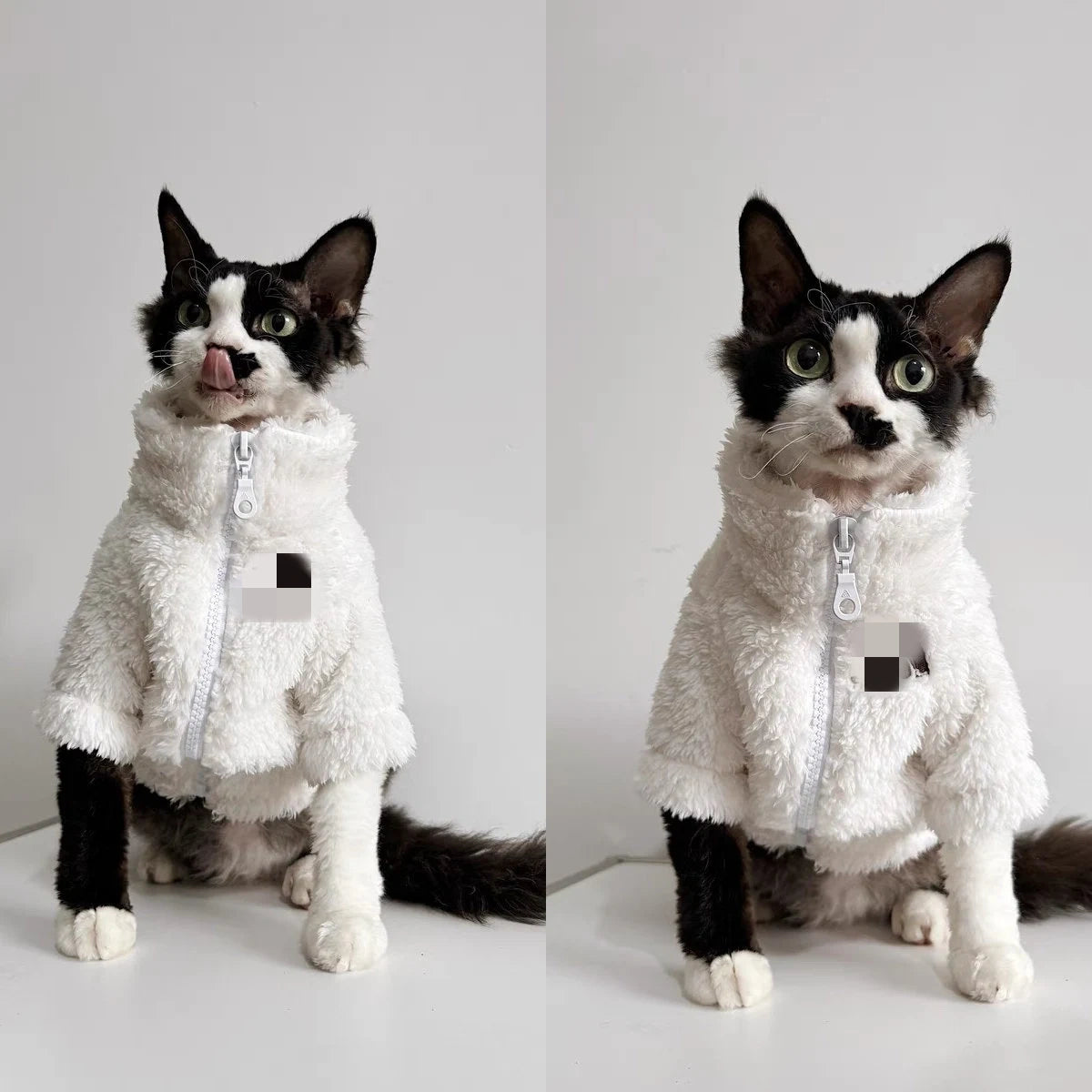 4 Colors Sphynx Hairless Cats Clothes, Winter Zipper Warm Kitten Coat Jacket, Bambino Devon Rex Sphynx Cat Clothing