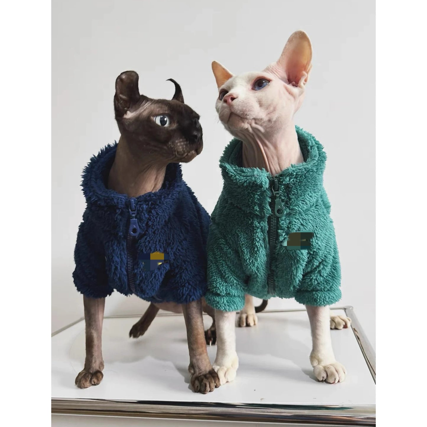 4 Colors Sphynx Hairless Cats Clothes, Winter Zipper Warm Kitten Coat Jacket, Bambino Devon Rex Sphynx Cat Clothing