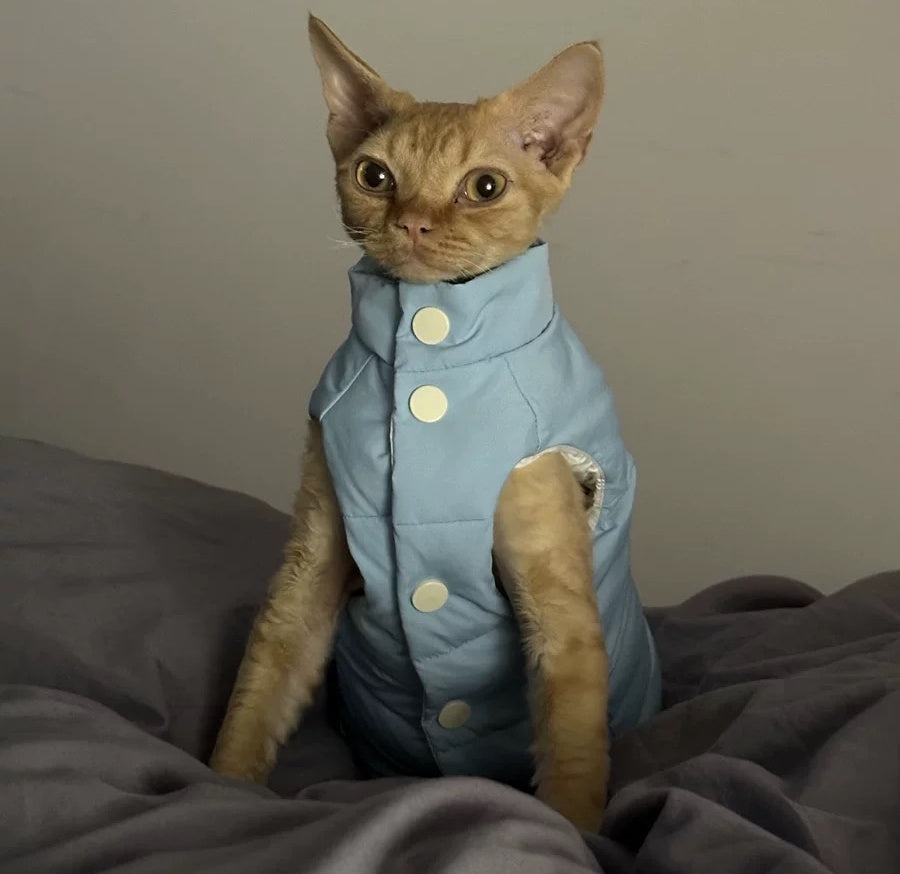 Sphynx Hairless Cats Coat, Winter Warm Kitten Button Jacket for Bambino Devon Rex Sphynx Cat