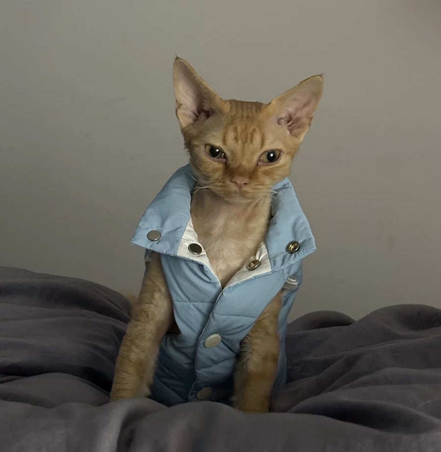 Sphynx Hairless Cats Coat, Winter Warm Kitten Button Jacket for Bambino Devon Rex Sphynx Cat