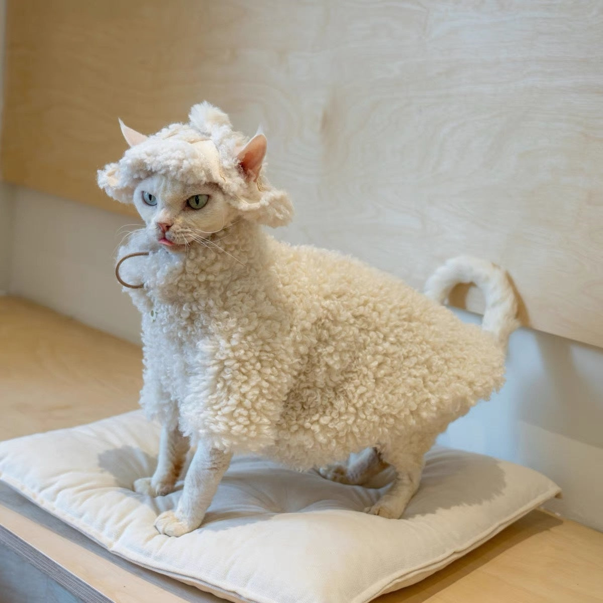 Sphynx Hairless Cats Coat and Hat, Winter Warm Jumper for Bambino Devon Rex Sphynx Cat