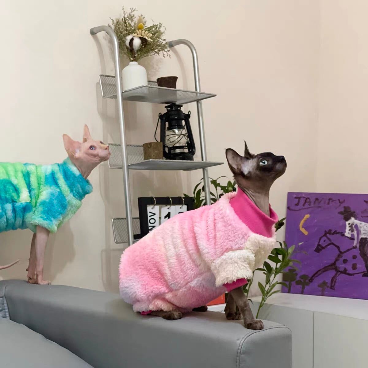 Sphynx Hairless Cats Tie-dye Clothing, Winter Warm Jumper for Bambino Devon Rex Sphynx Cat