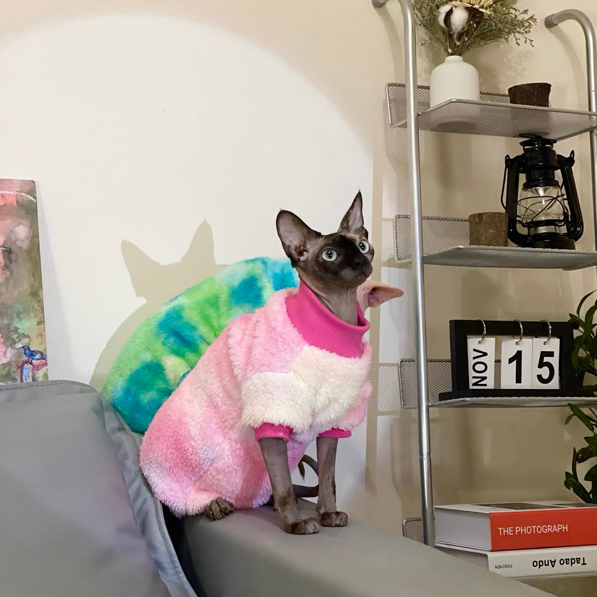 Sphynx Hairless Cats Tie-dye Clothing, Winter Warm Jumper for Bambino Devon Rex Sphynx Cat