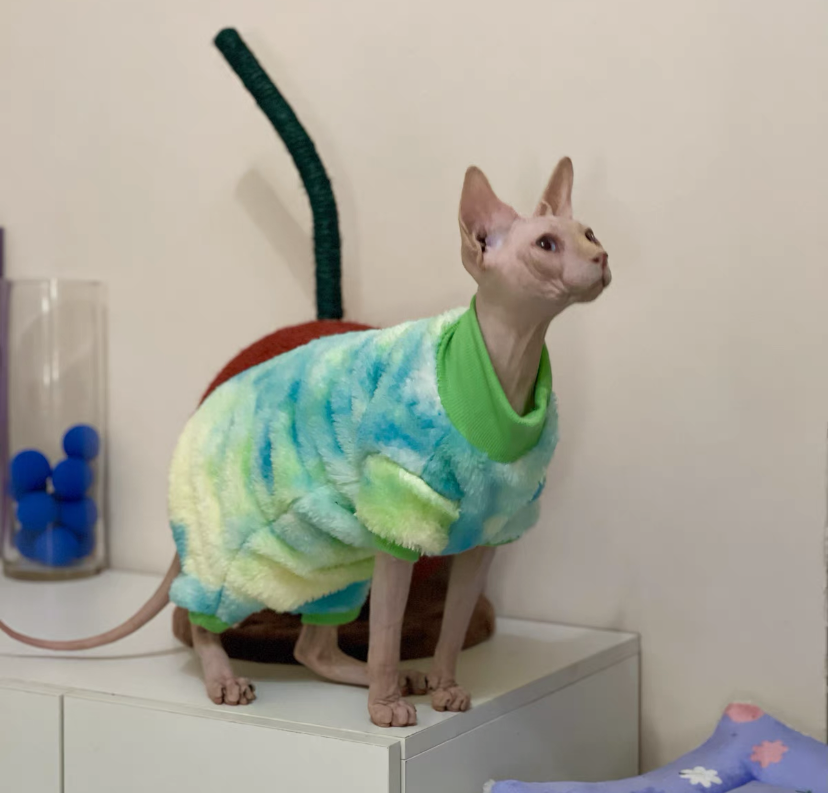 Sphynx Hairless Cats Tie-dye Clothing, Winter Warm Jumper for Bambino Devon Rex Sphynx Cat