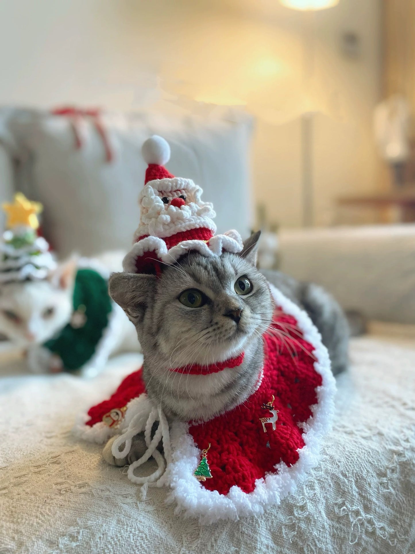 Christmas Sphynx Hairless Cats Hat and Shawl, Santa Claus Hat Accessories, Christmas Tree Cap for Cat