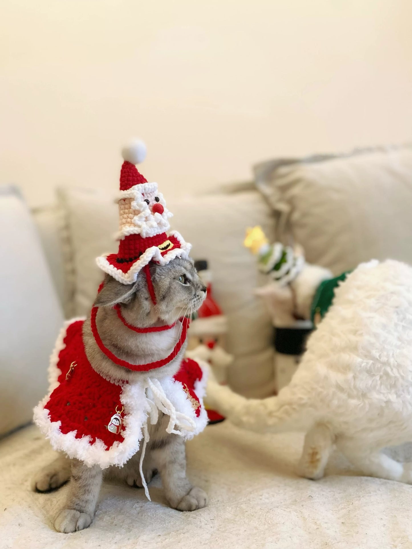 Christmas Sphynx Hairless Cats Hat and Shawl, Santa Claus Hat Accessories, Christmas Tree Cap for Cat