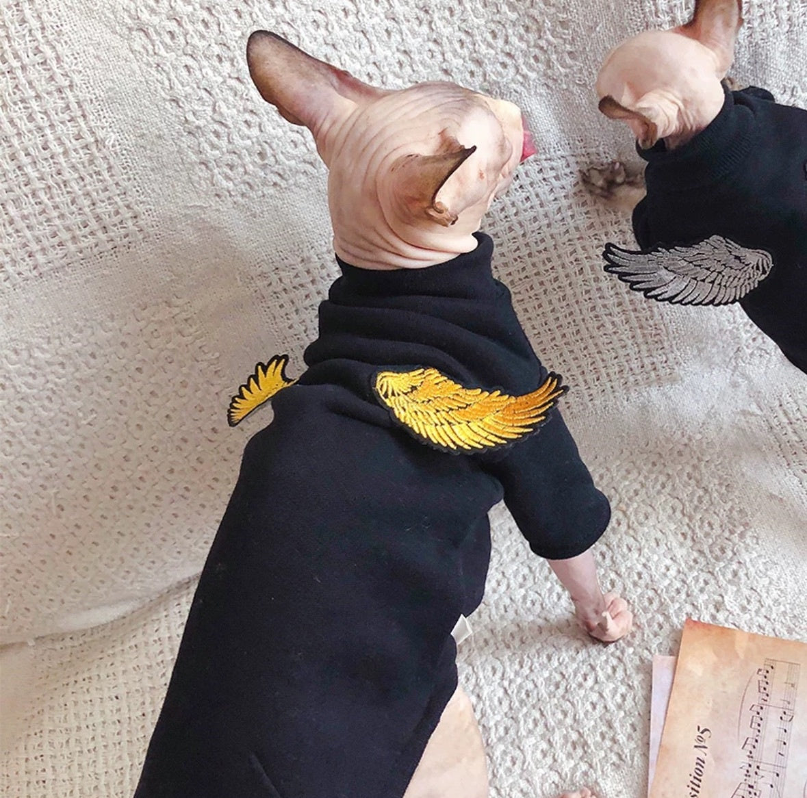 Halloween Sphynx Hairless Cats Wings Clothes, Winter Warm Sweatshirt for Bambino, Devon Rex Sphynx Cat Jumper