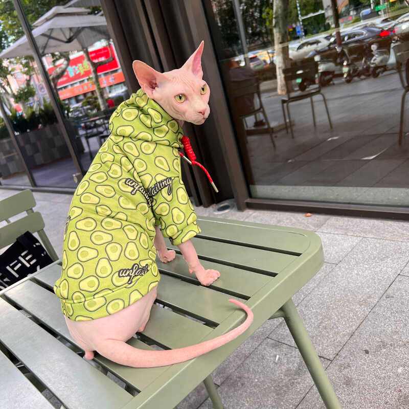 Sphynx Hairless Cats Avocado Print Clothes, Winter Warm Hoodie for Bambino, Devon Rex Sphynx Cat Jumper