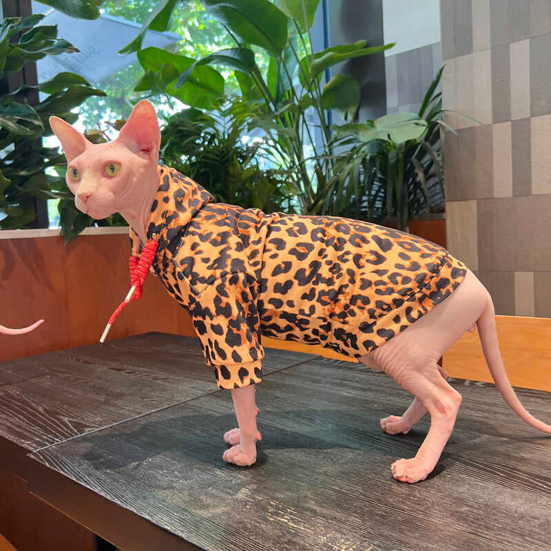 Sphynx Hairless Cats Leopard Print Clothes, Winter Warm Hoodie for Bambino, Devon Rex Sphynx Cat Jumper