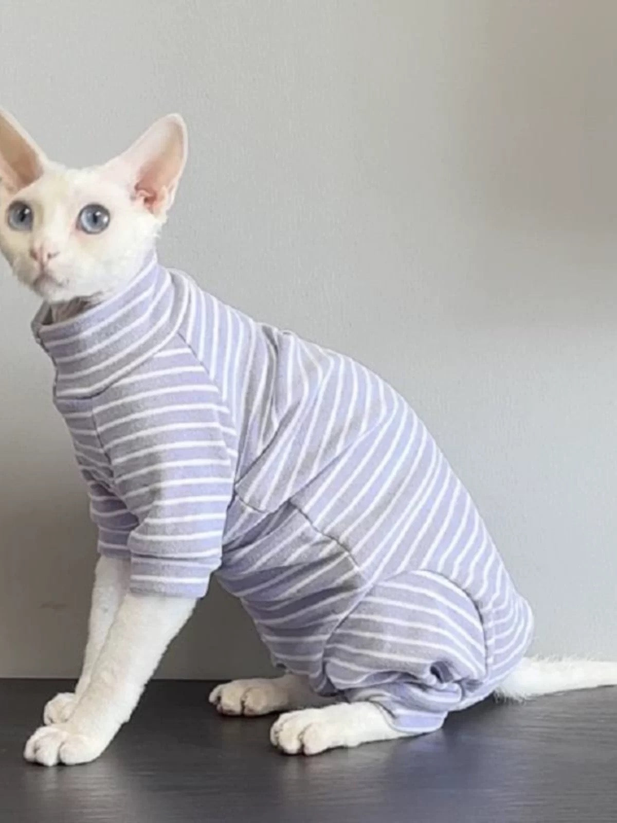 3 Colors Sphynx Hairless Cats Striped Clothing, Winter Warm Jumper for Bambino Devon Rex Sphynx Cat