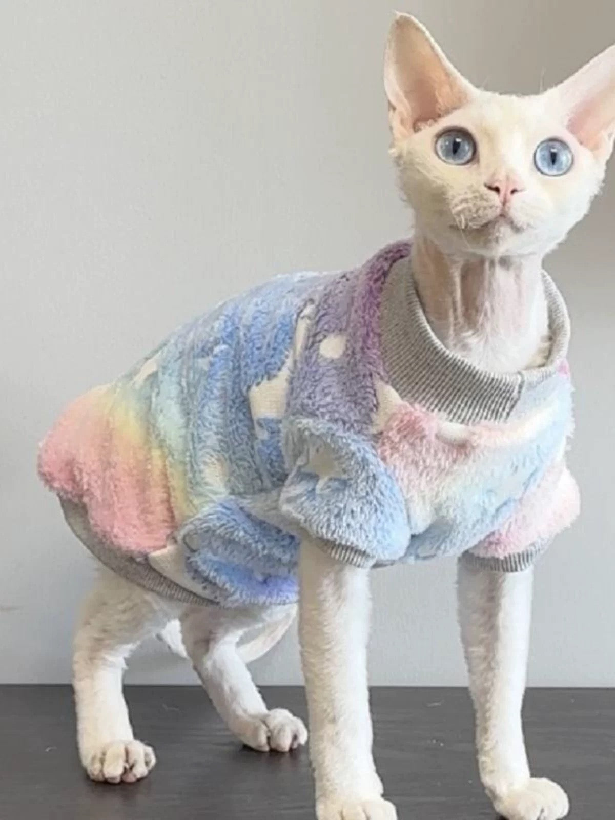 2 Colors Sphynx Hairless Cats Striped Clothing, Winter Warm Jumper for Bambino Devon Rex Sphynx Cat