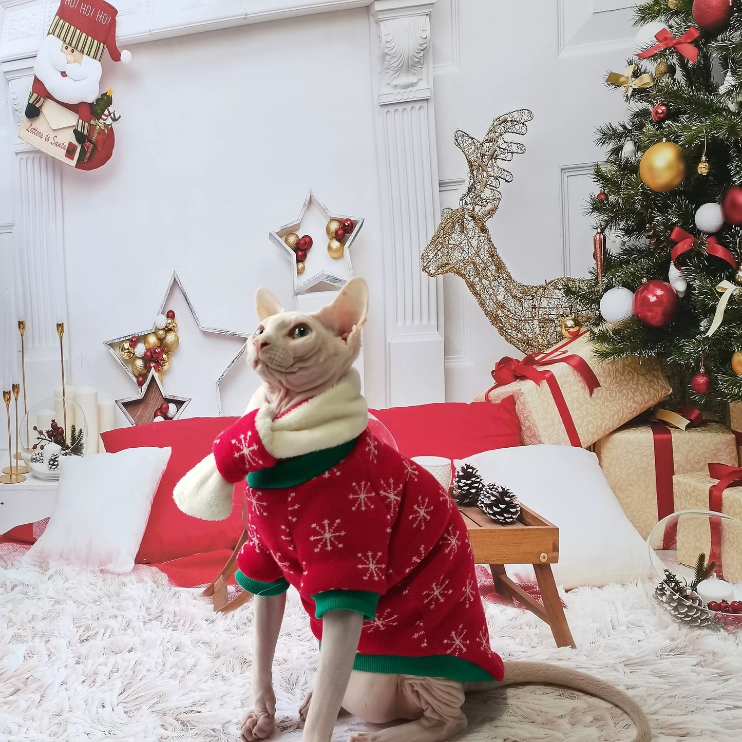 Christmas Sphynx Hairless Cats Sweater, Winter Warm Jumper for Bambino Devon Rex Sphynx Cat