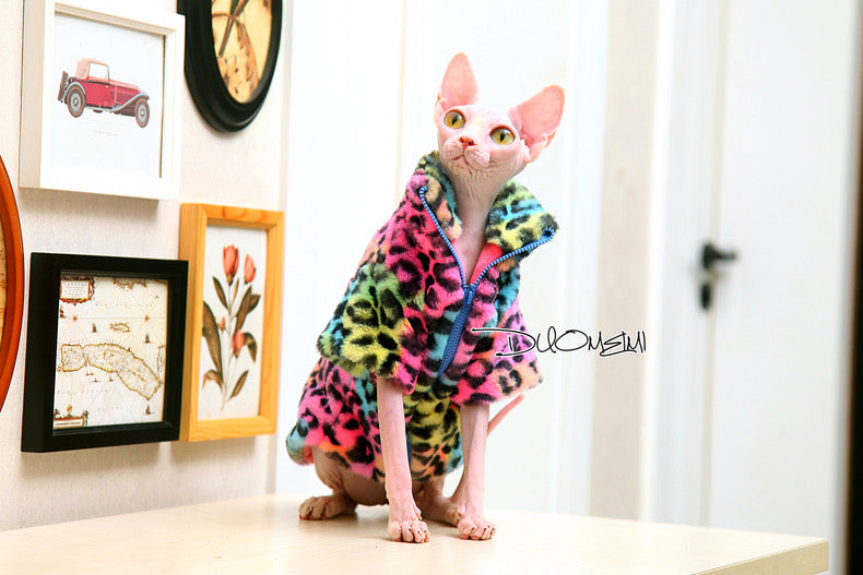 Sphynx Hairless Cats Coat, Winter Warm Jumper for Bambino, Devon Rex Sphynx Cat Clothes