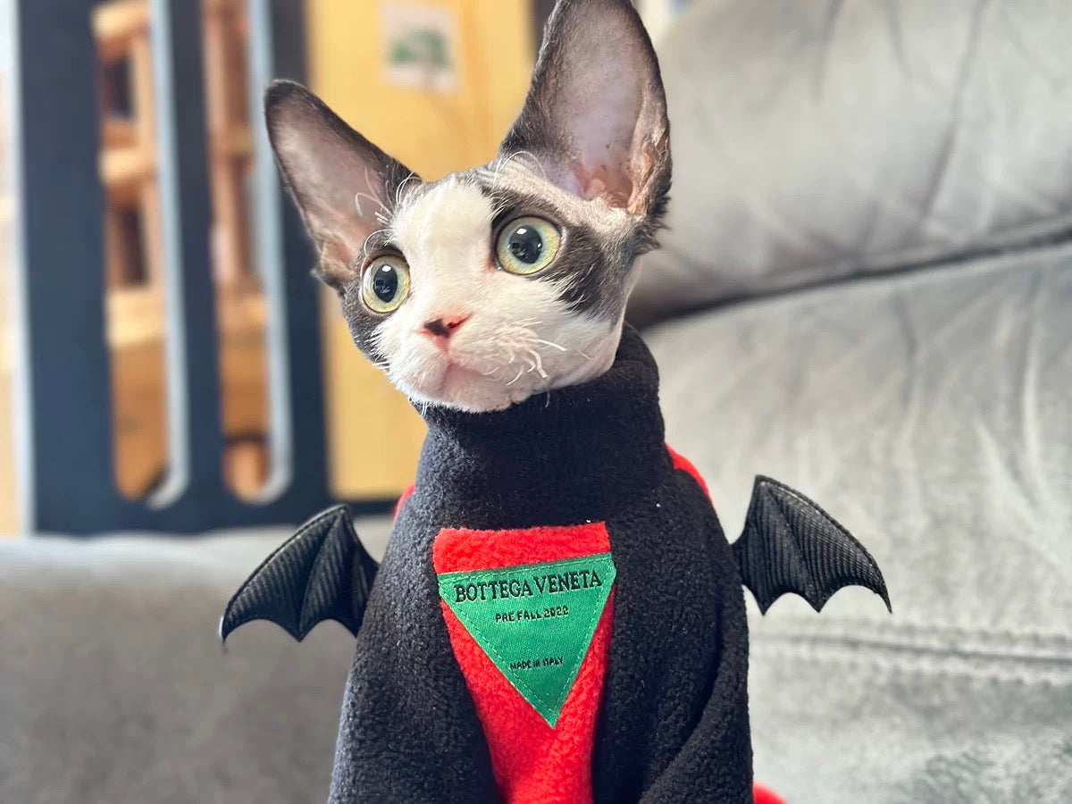 Halloween Sphynx Hairless Cats Devil Wings Sweatshirt, Winter Warm Jumper for Bambino, Devon Rex Sphynx Cat Clothes