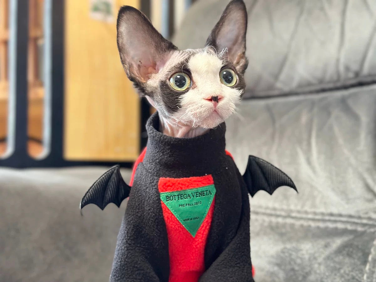 Halloween Sphynx Hairless Cats Devil Wings Sweatshirt, Winter Warm Jumper for Bambino, Devon Rex Sphynx Cat Clothes