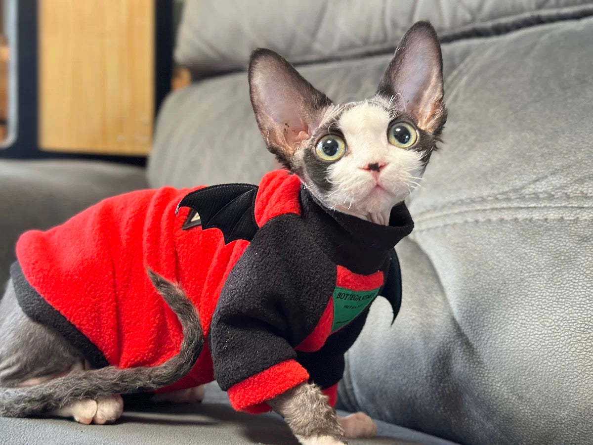 Halloween Sphynx Hairless Cats Devil Wings Sweatshirt, Winter Warm Jumper for Bambino, Devon Rex Sphynx Cat Clothes