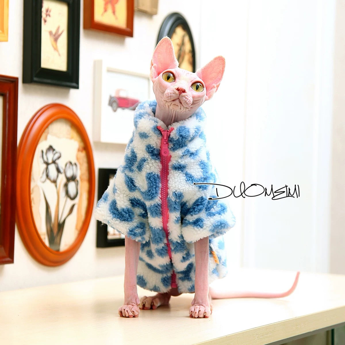 Sphynx Hairless Cats Coat, Winter Warm Jumper for Bambino, Devon Rex Sphynx Cat Clothes