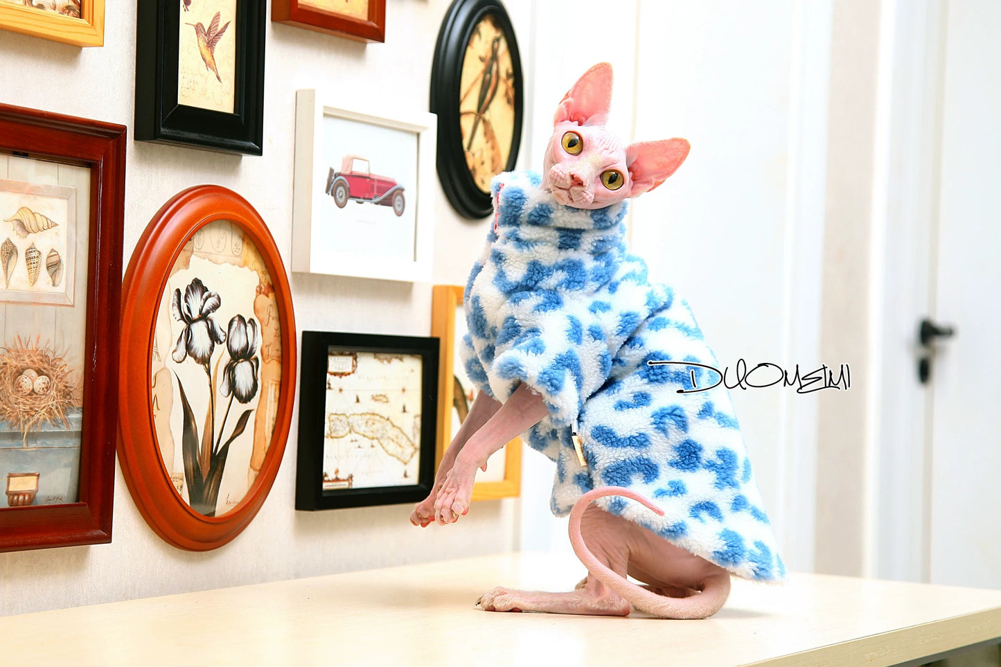 Sphynx Hairless Cats Coat, Winter Warm Jumper for Bambino, Devon Rex Sphynx Cat Clothes