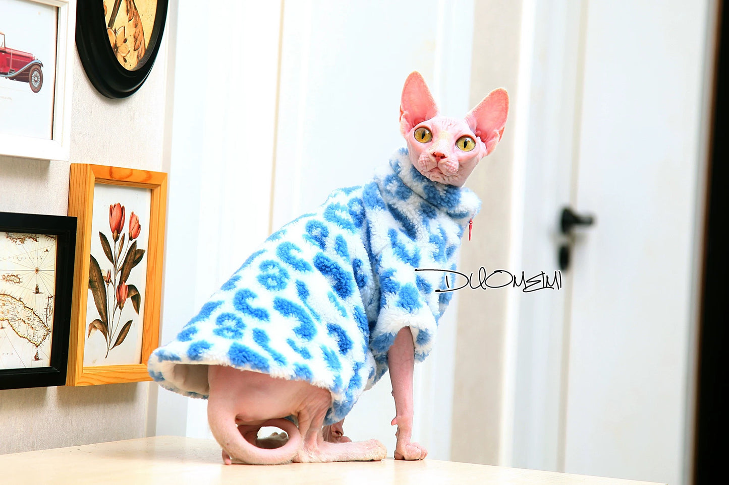 Sphynx Hairless Cats Coat, Winter Warm Jumper for Bambino, Devon Rex Sphynx Cat Clothes