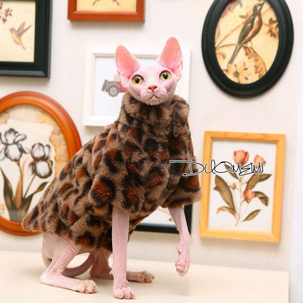 Sphynx Hairless Cats Coat, Winter Warm Jumper for Bambino, Devon Rex Sphynx Cat Clothes