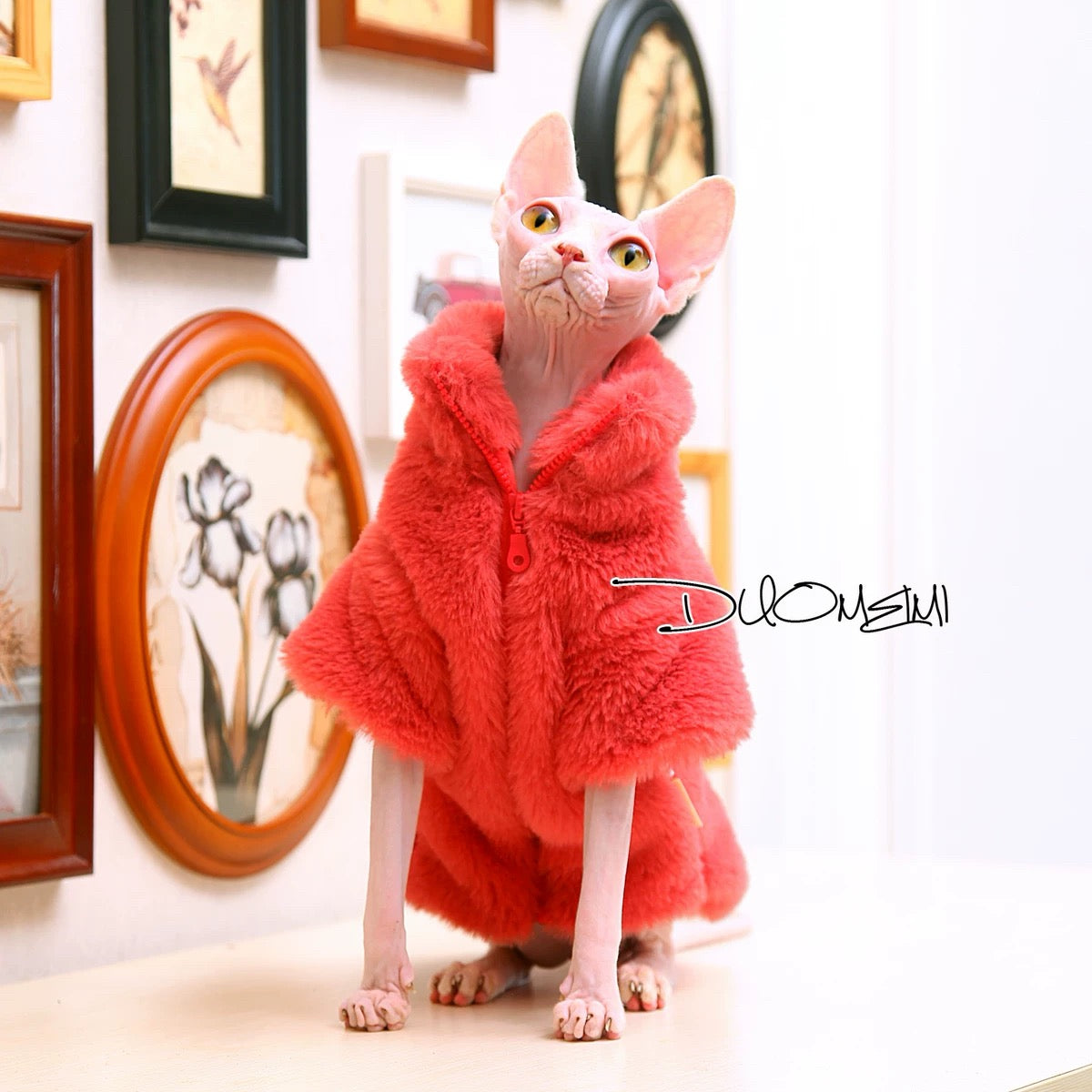 Sphynx Hairless Cats Coat, Winter Warm Jumper for Bambino, Devon Rex Sphynx Cat Clothes