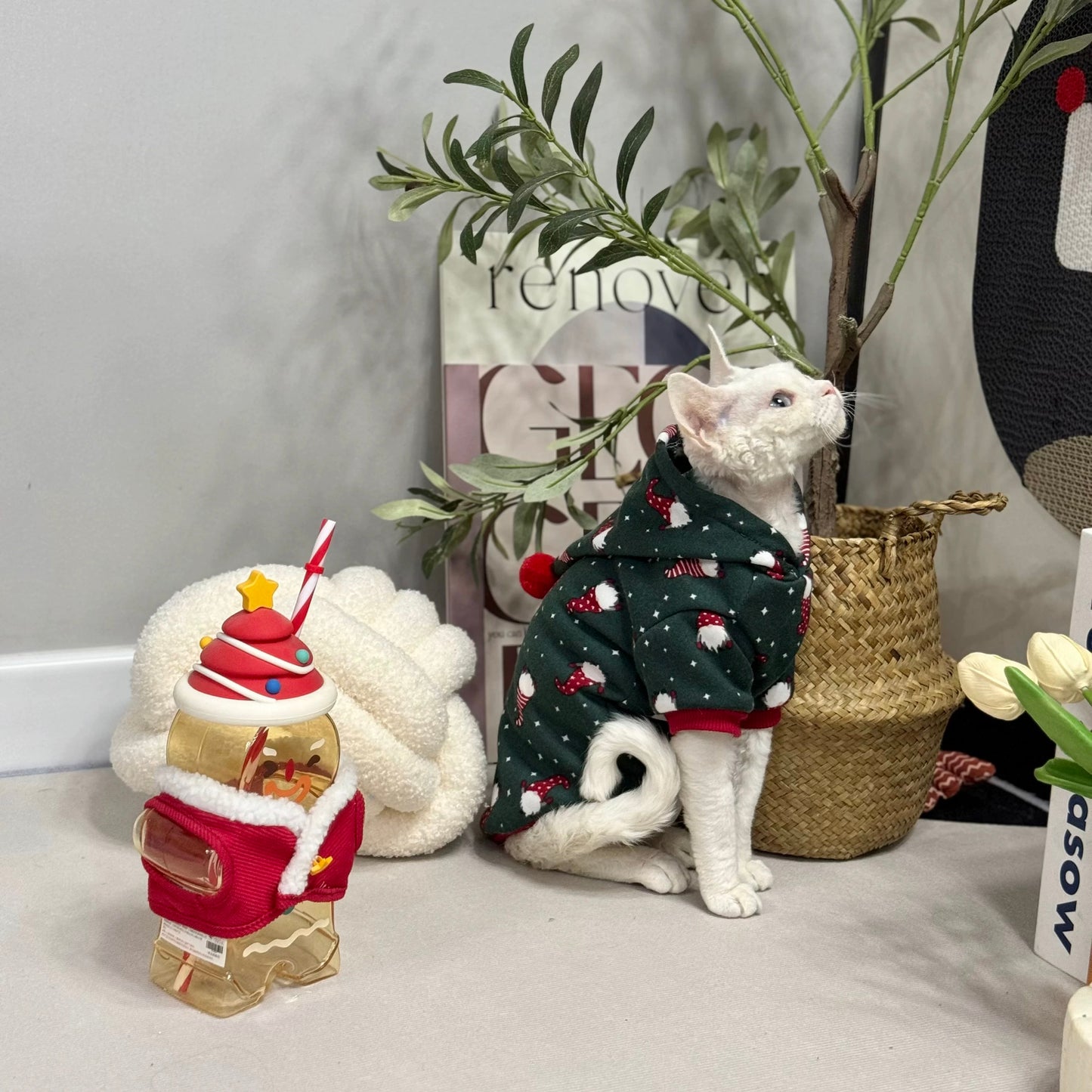 Christmas Sphynx Hairless Cats Green Clothing, Winter Warm Jumper for Bambino Devon Rex Sphynx Cat