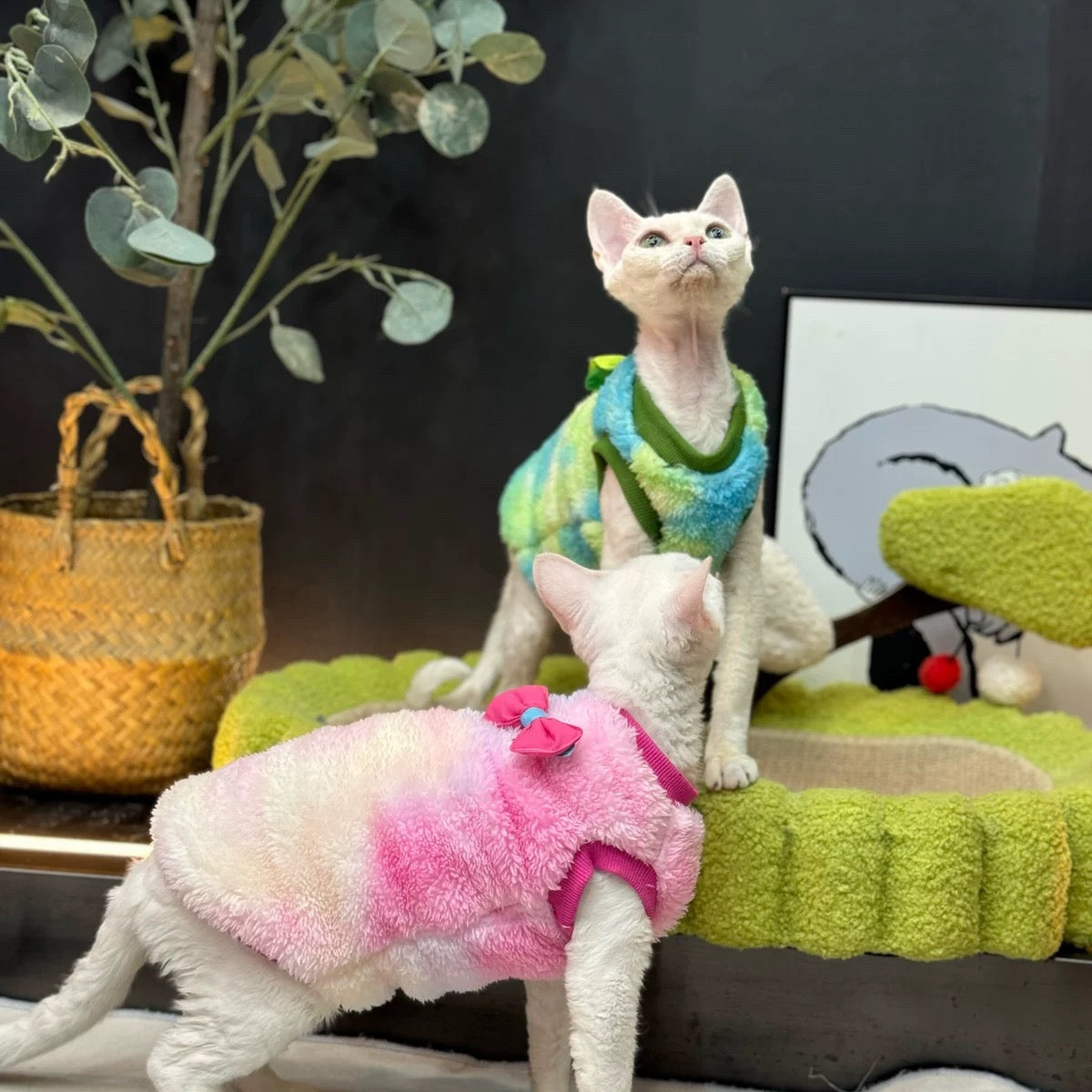 Sphynx Hairless Cats Tie-dye Clothing, Winter Warm Jumper for Bambino Devon Rex Sphynx Cat