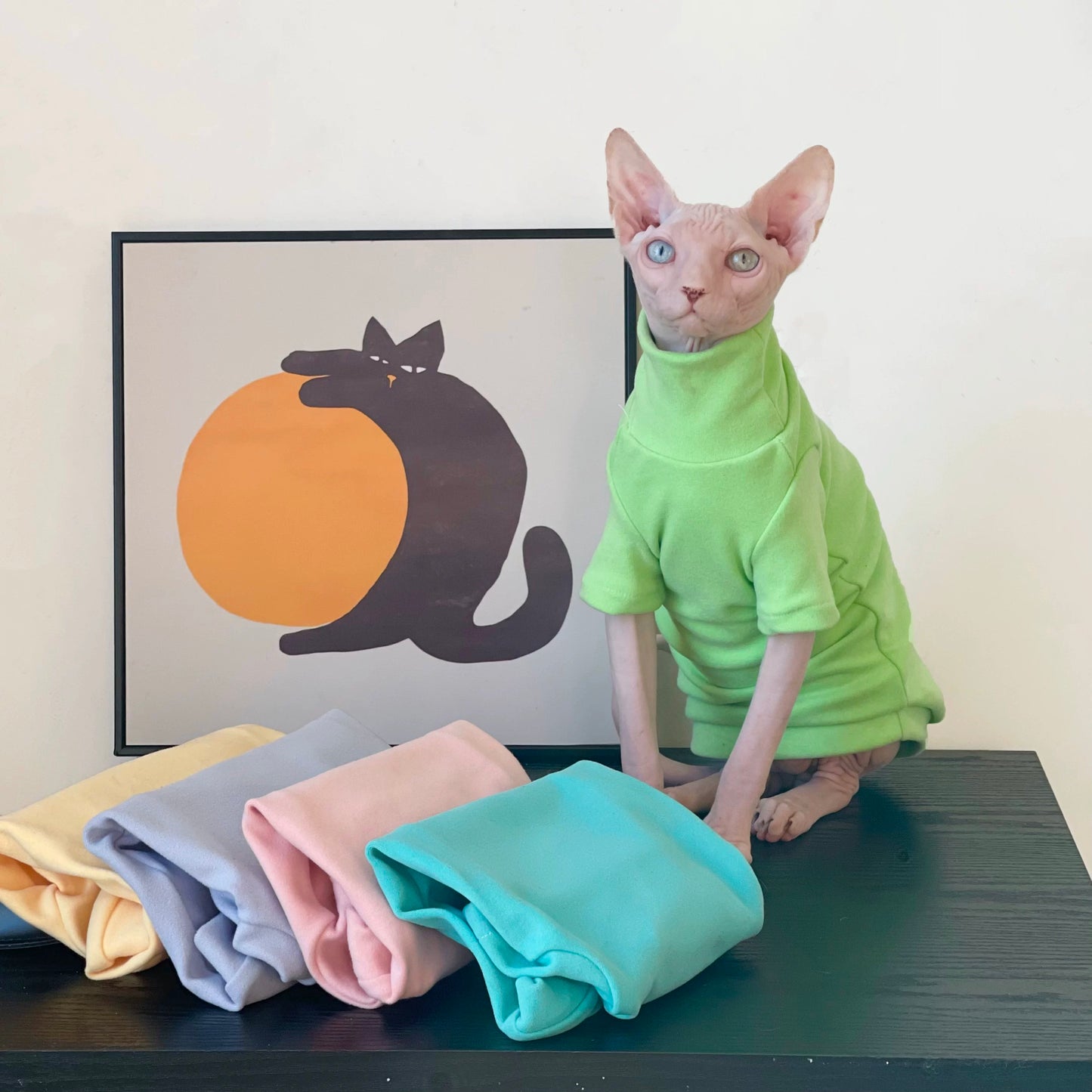 Sphynx Hairless Cats Underwear Clothing, Winter Velvet Warm Jumper for Bambino Devon Rex Sphynx Cat