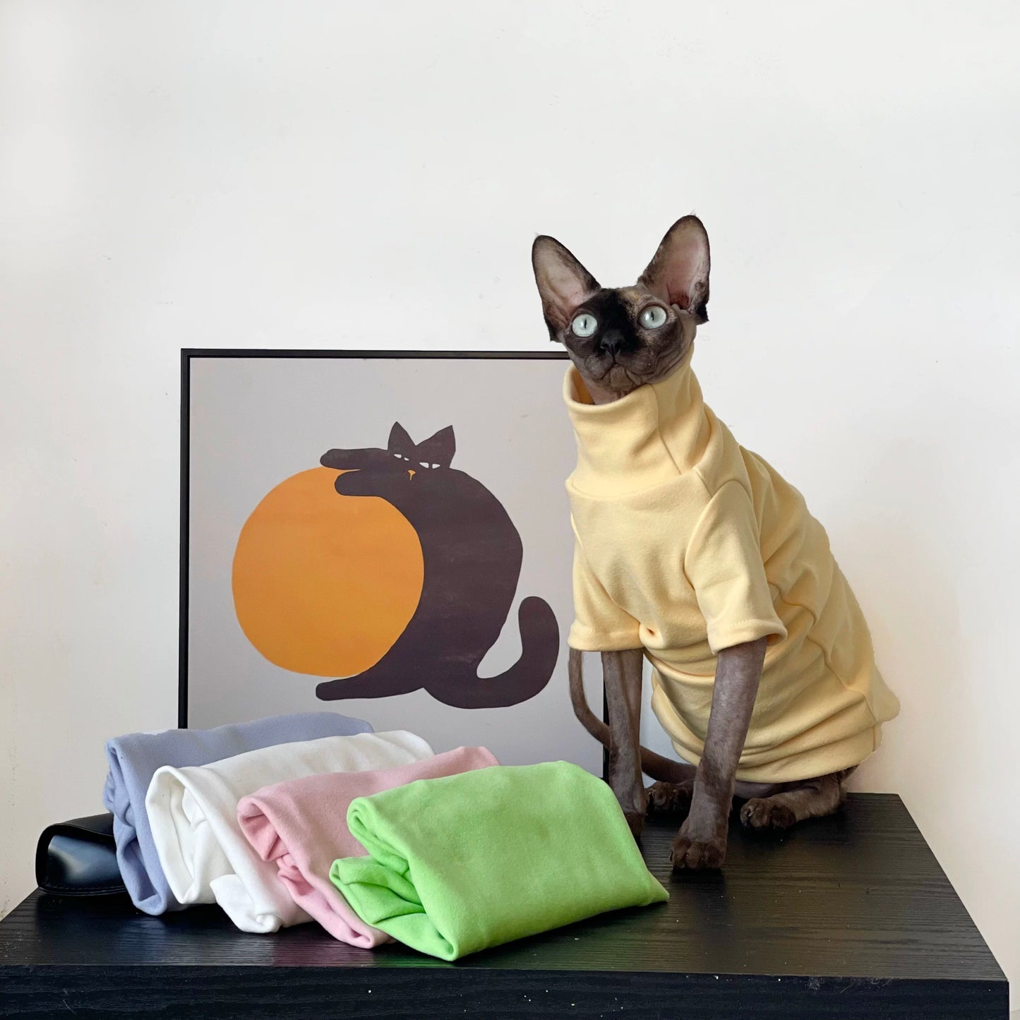 Sphynx Hairless Cats Underwear Clothing, Winter Velvet Warm Jumper for Bambino Devon Rex Sphynx Cat