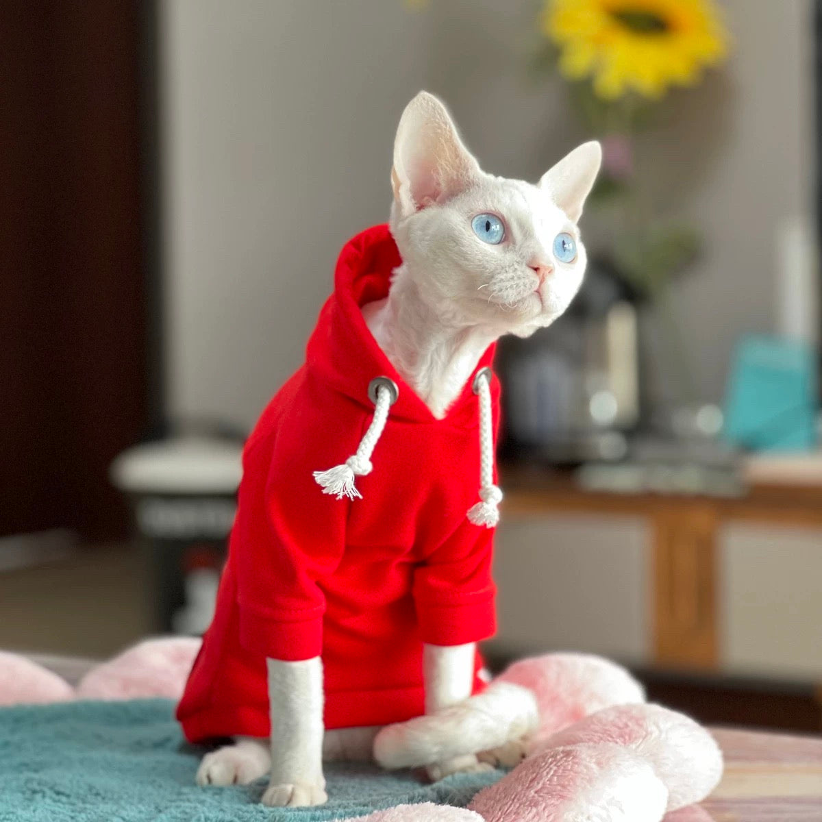 New Year Sphynx Hairless Cats Hoodie, Winter Warm Jumper for Bambino Devon Rex Sphynx Cat