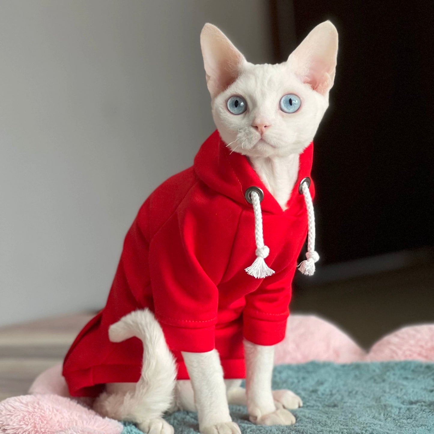 New Year Sphynx Hairless Cats Hoodie, Winter Warm Jumper for Bambino Devon Rex Sphynx Cat