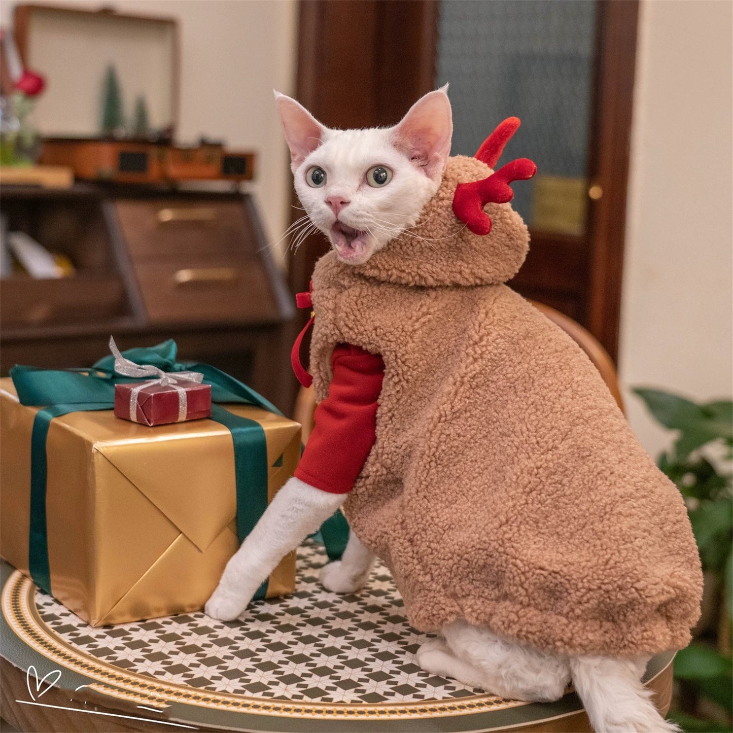 Christmas Sphynx Hairless Cats Sweatshirt Coat, Winter Warm Jumper for Bambino Devon Rex Sphynx Cat