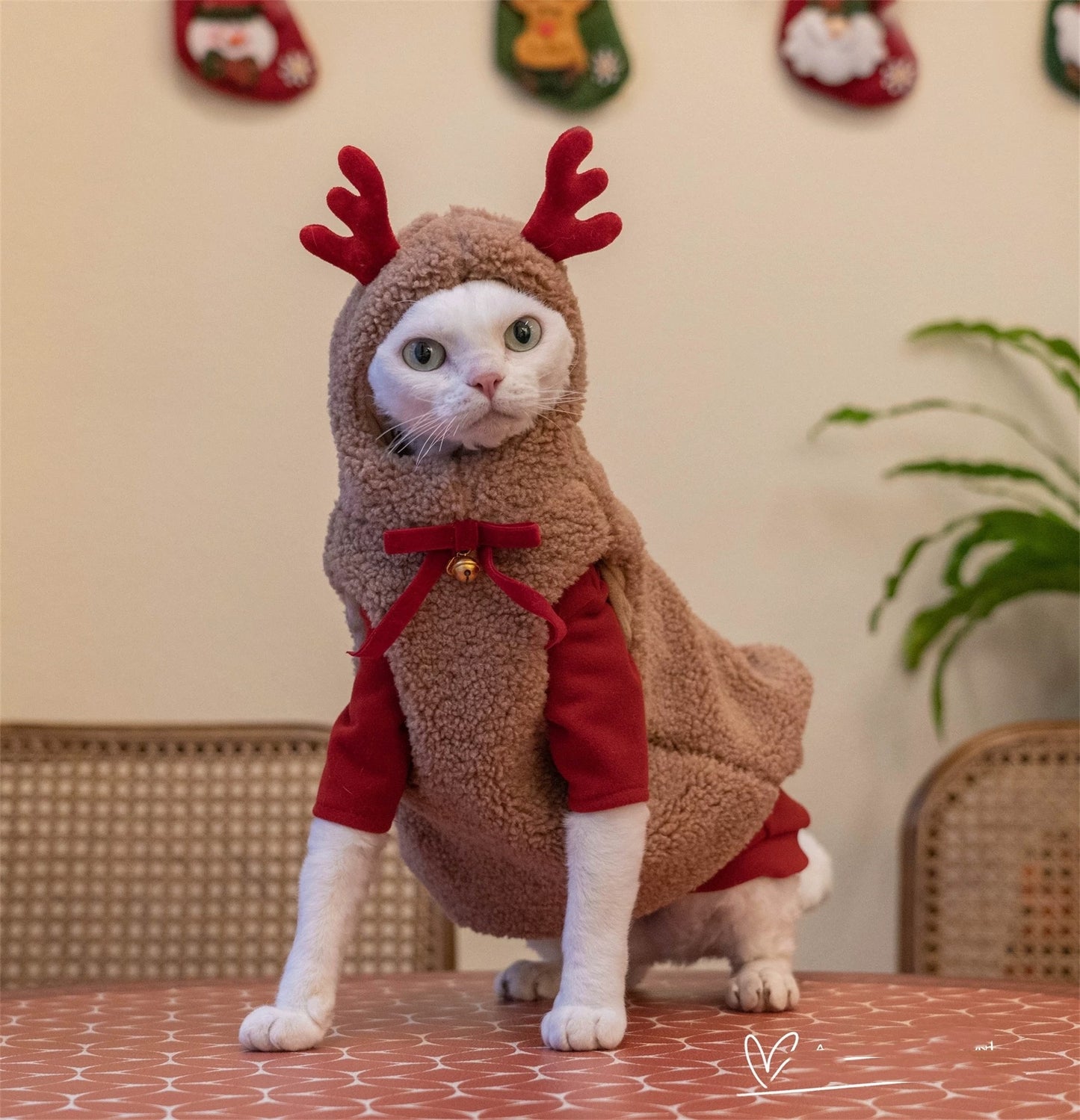 Christmas Sphynx Hairless Cats Sweatshirt Coat, Winter Warm Jumper for Bambino Devon Rex Sphynx Cat