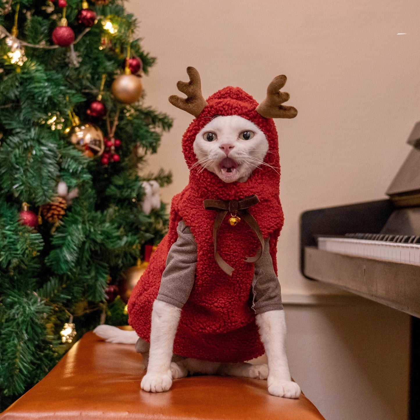 Christmas Sphynx Hairless Cats Sweatshirt Coat, Winter Warm Jumper for Bambino Devon Rex Sphynx Cat