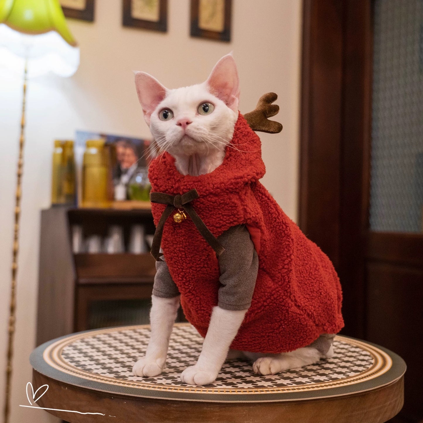 Christmas Sphynx Hairless Cats Sweatshirt Coat, Winter Warm Jumper for Bambino Devon Rex Sphynx Cat