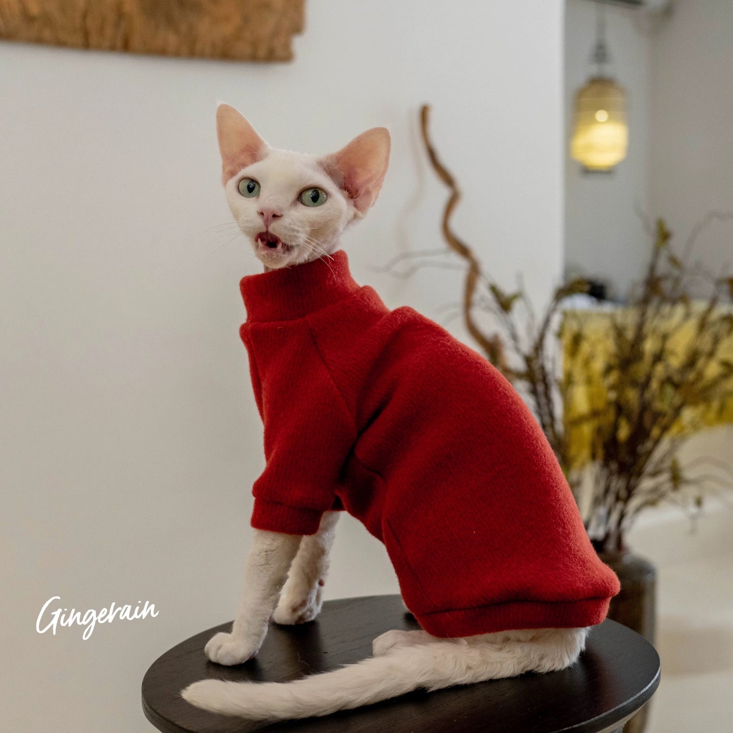 New Year Sphynx Hairless Cats Sweatshirt Sweater, Winter Warm Jumper for Bambino Devon Rex Sphynx Cat