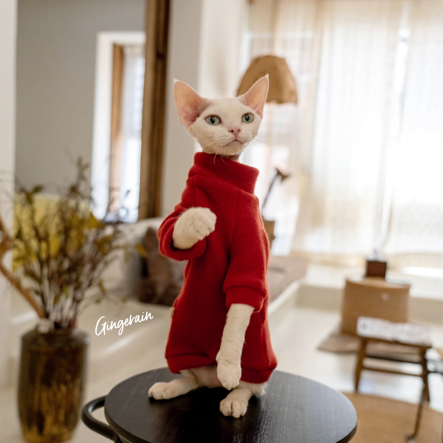 New Year Sphynx Hairless Cats Sweatshirt Sweater, Winter Warm Jumper for Bambino Devon Rex Sphynx Cat