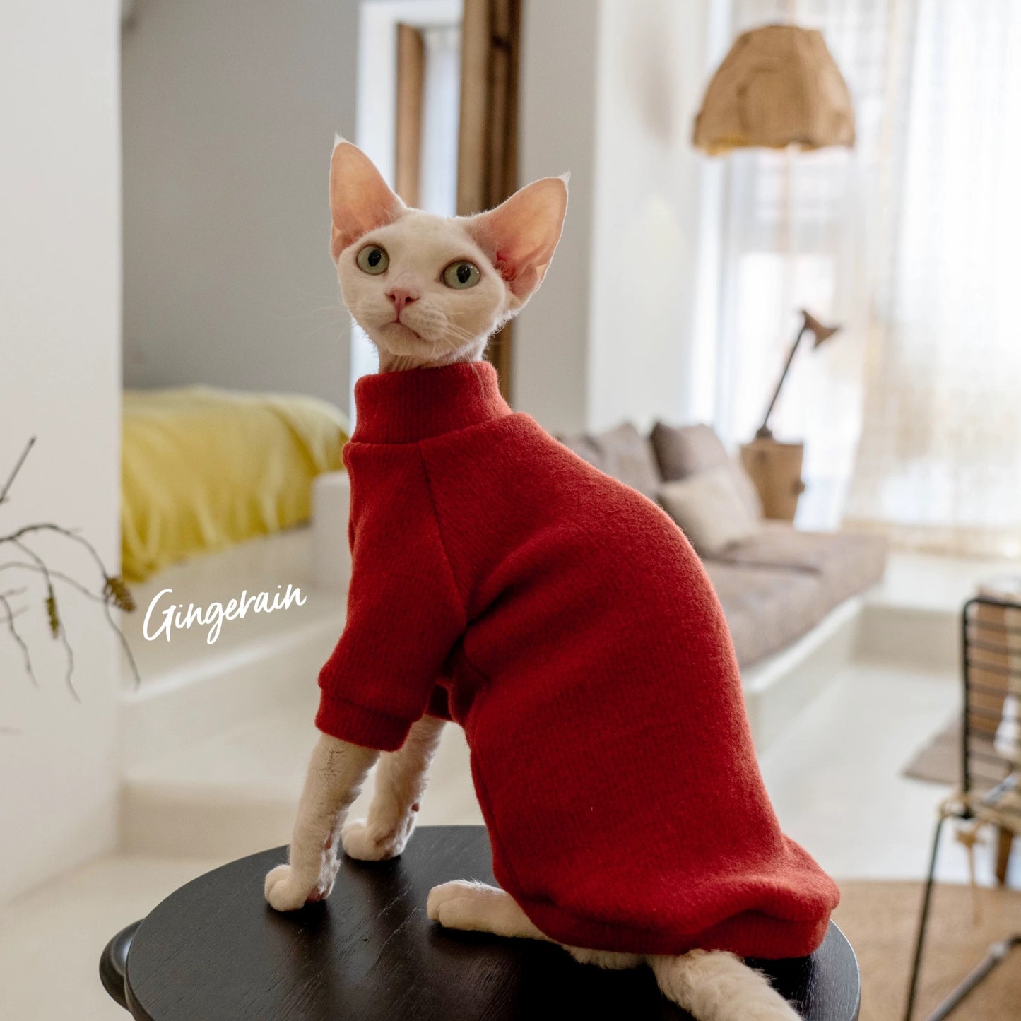 New Year Sphynx Hairless Cats Sweatshirt Sweater, Winter Warm Jumper for Bambino Devon Rex Sphynx Cat