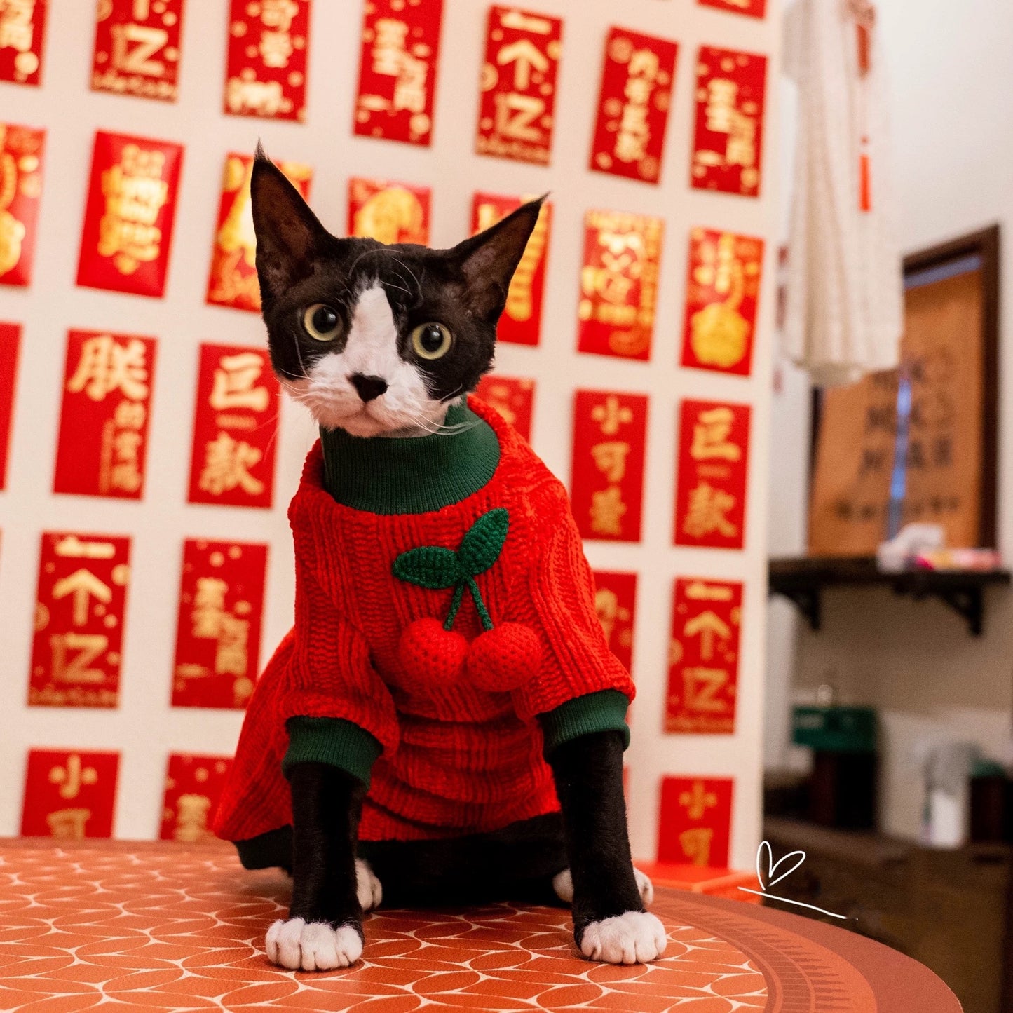 New Year Sphynx Hairless Cats Sweater, Winter Warm Jumper for Bambino Devon Rex Sphynx Cat