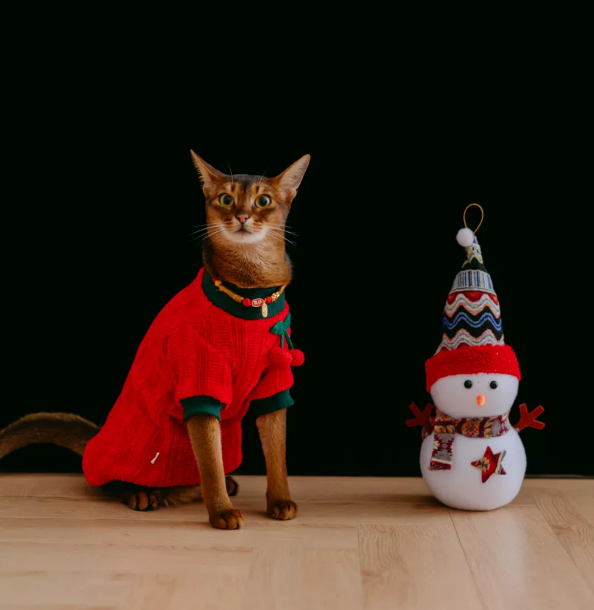 New Year Sphynx Hairless Cats Sweater, Winter Warm Jumper for Bambino Devon Rex Sphynx Cat