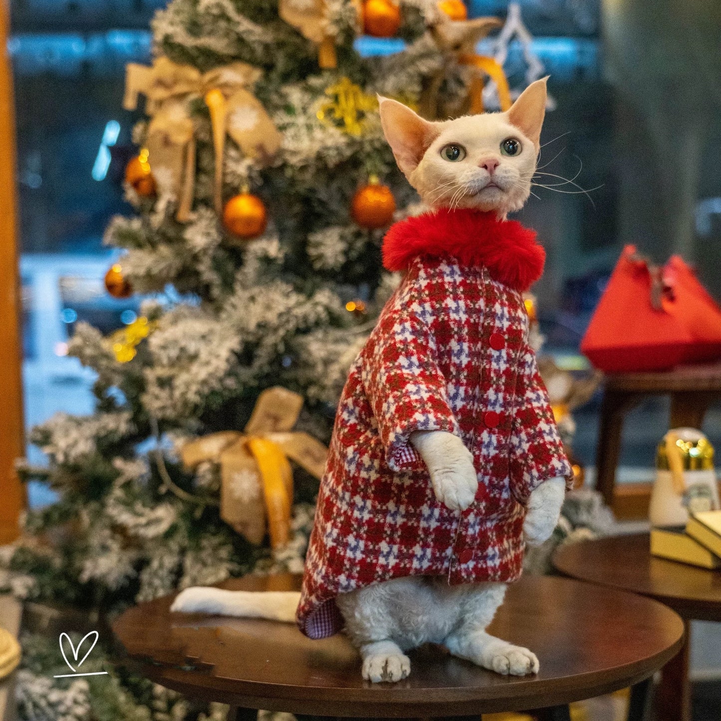 Christmas Sphynx Hairless Cats Coat, Winter Warm Jumper for Bambino Devon Rex Sphynx Cat