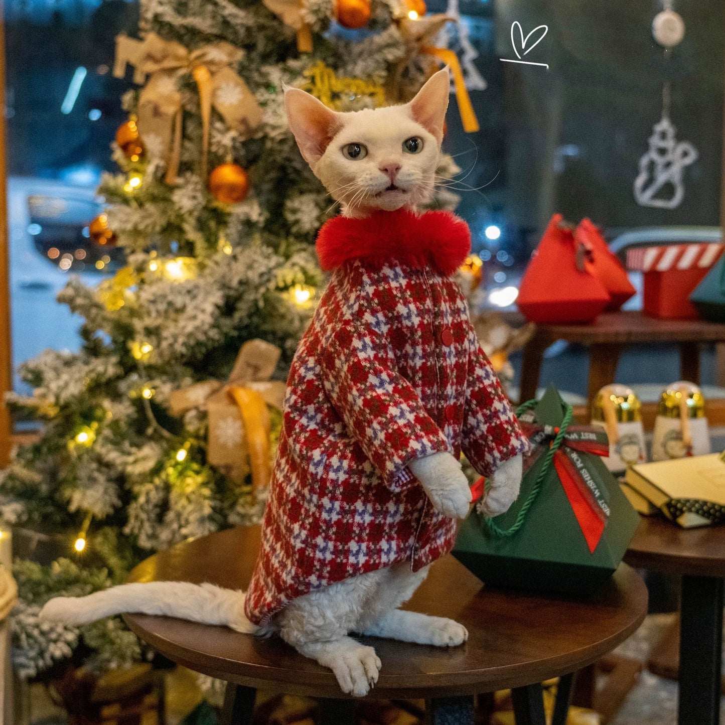 Christmas Sphynx Hairless Cats Coat, Winter Warm Jumper for Bambino Devon Rex Sphynx Cat