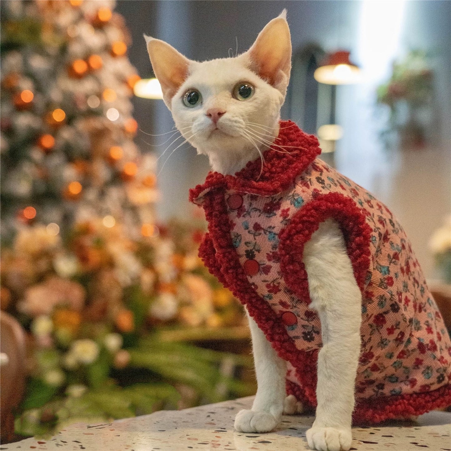 Christmas Sphynx Hairless Cats Coat, Winter Warm Jumper for Bambino Devon Rex Sphynx Cat