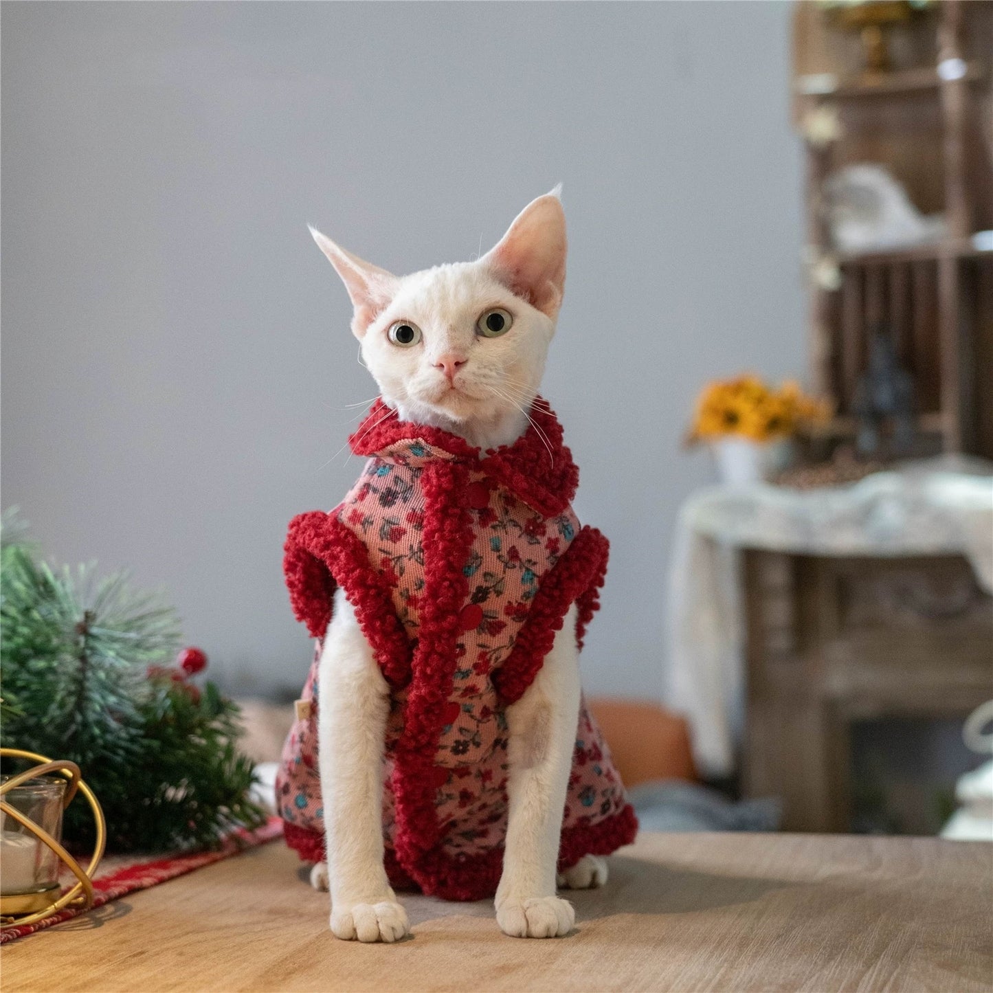 Christmas Sphynx Hairless Cats Coat, Winter Warm Jumper for Bambino Devon Rex Sphynx Cat