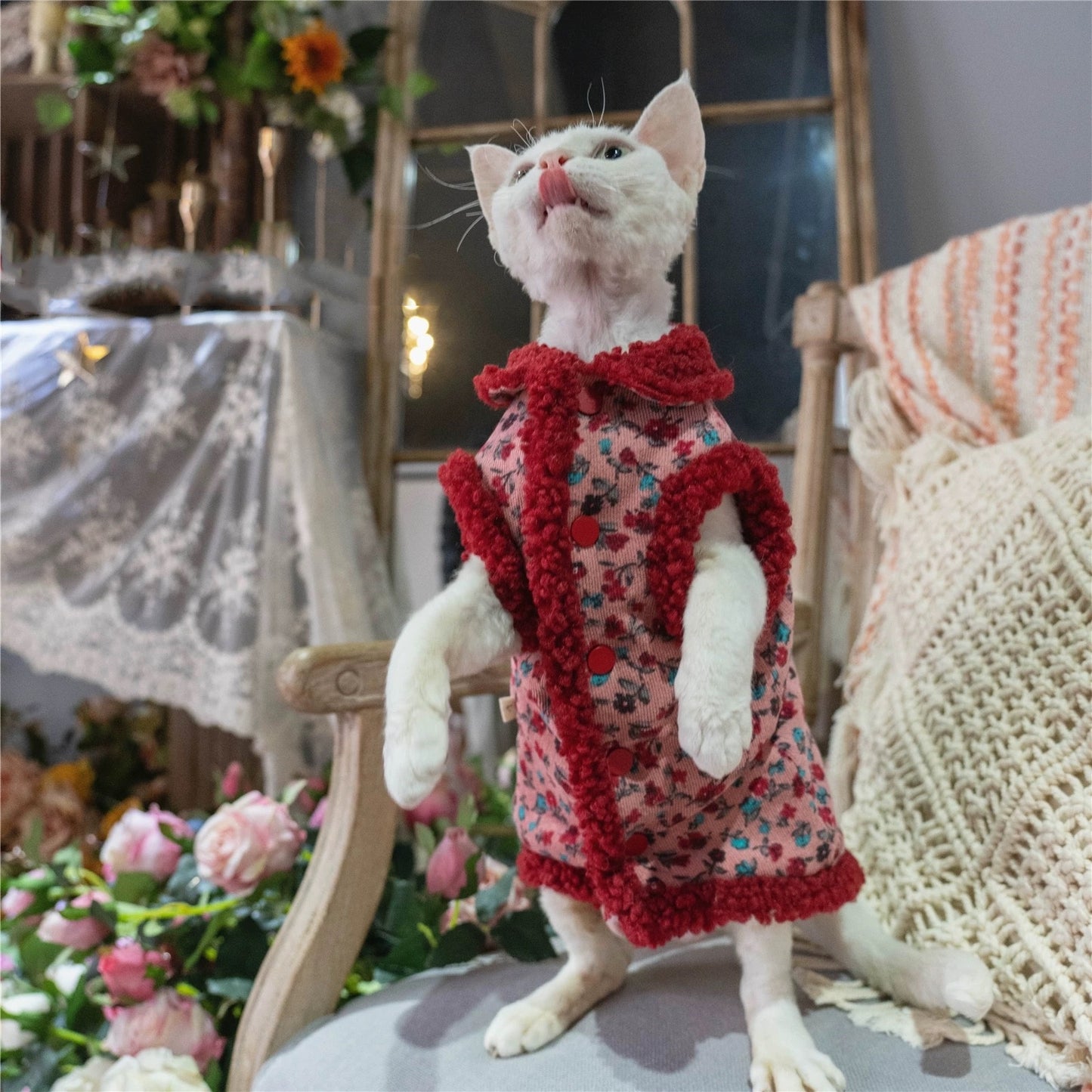 Christmas Sphynx Hairless Cats Coat, Winter Warm Jumper for Bambino Devon Rex Sphynx Cat