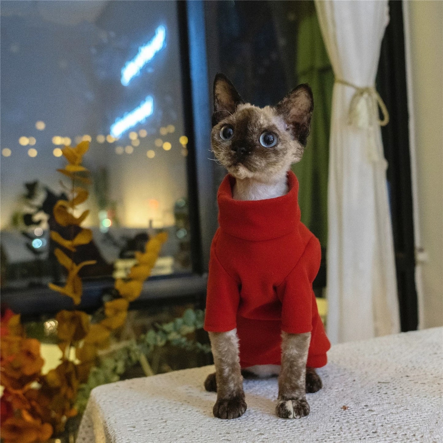 New Year Sphynx Hairless Cats Sweatshirt Sweater, Winter Warm Jumper for Bambino Devon Rex Sphynx Cat